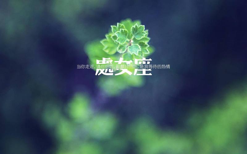 处女座的星座之花