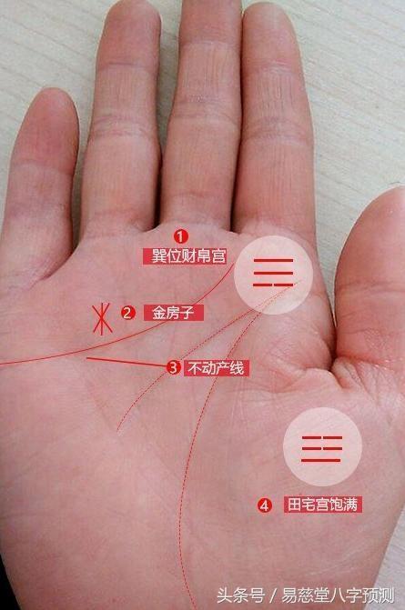 手相不动产线的位置