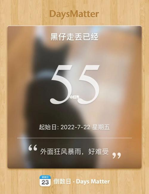 女人梦到突然狂风暴雨是什么意思