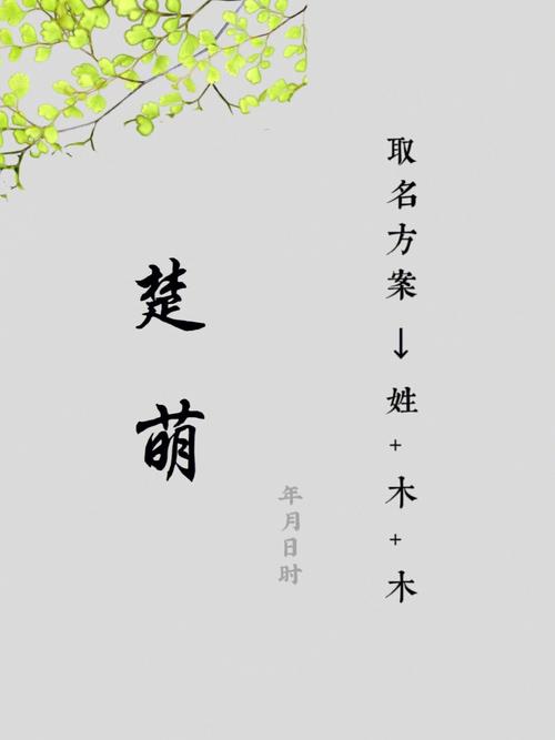 2023年1月11号出生赖姓宝宝取名叫什么