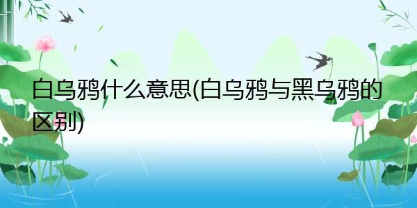 白天乌鸦叫预示什么,乌鸦叫声有哪些寓意