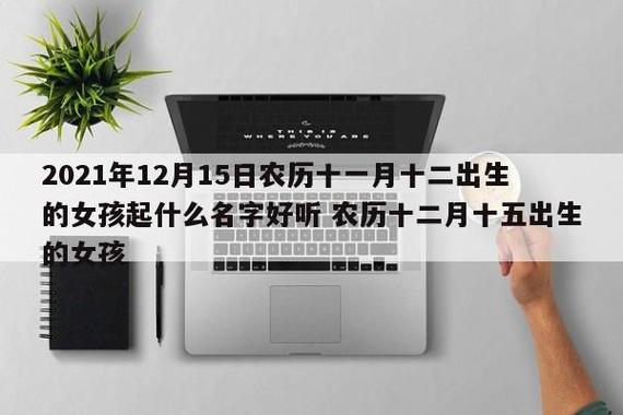 2021年12月28日农历十一月二十五出生的女宝宝