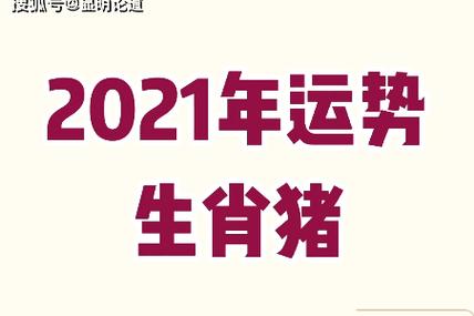 猪2021年运势完整版