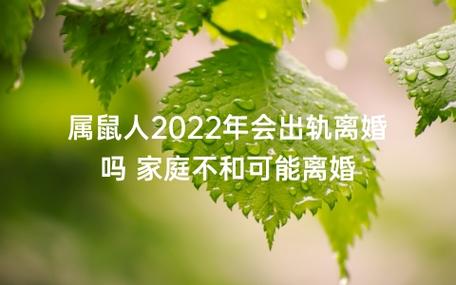 注意了 招惹属鼠男女朋友的后果