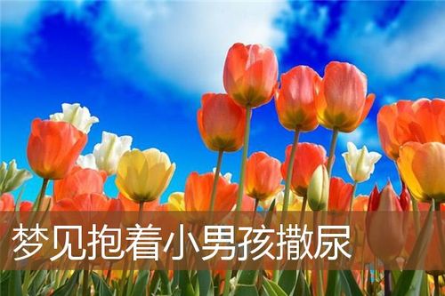 梦见抱男孩尿尿