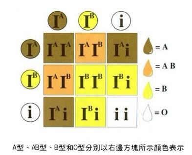 从血型看你是什么颜色