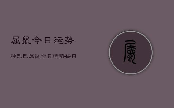 属鼠人2021年财运运程