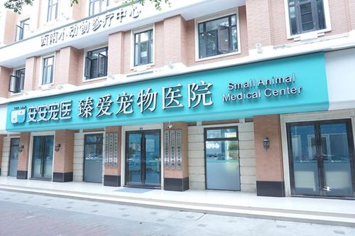 宠物医院名字大气好听
