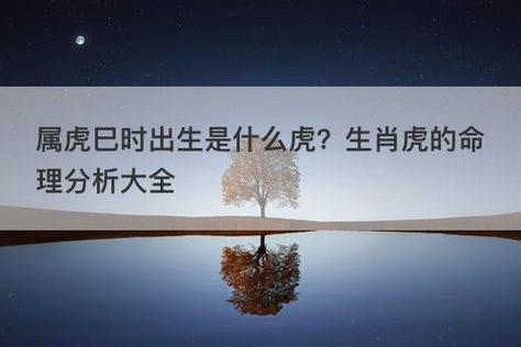 属虎巳时诞生是什么命