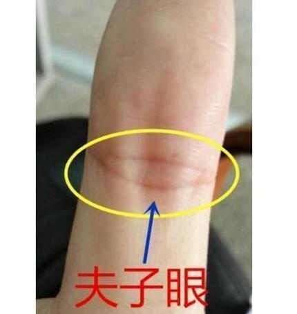 假夫子眼纹手相好不好