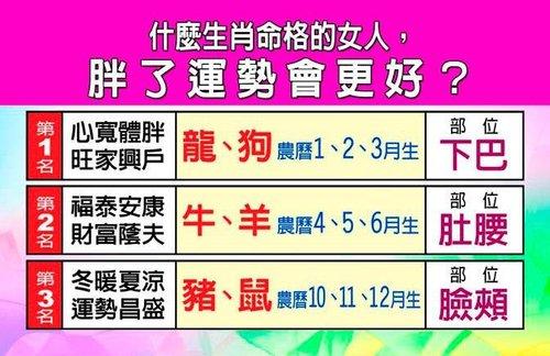 哪些生肖是不介意女盆友胖的