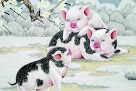 妈妈属蛇爸爸属猪生猪宝宝好不好