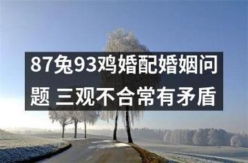 87年兔和93年鸡可以婚配吗