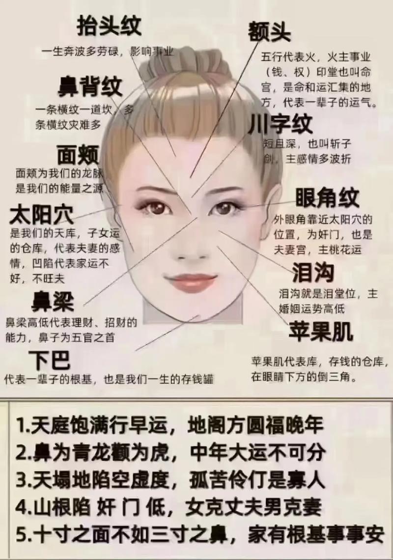 鼻子短影响财运吗