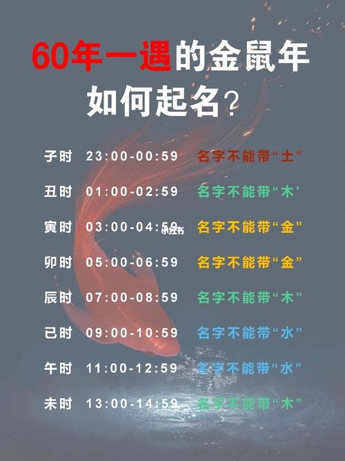 60年一遇的金鼠好吗