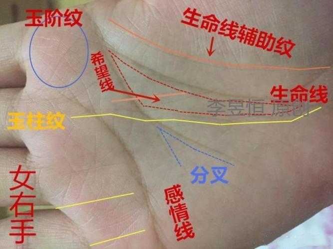 玉字文手相 玉纹手诀