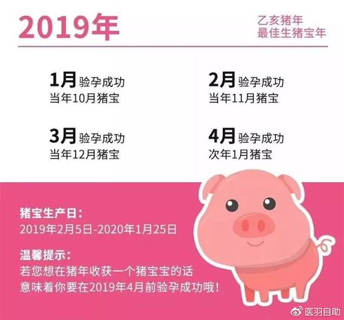 2019年几月份出生的猪宝宝命最好?