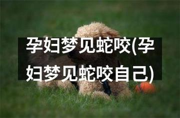 周公解梦梦见孕妇