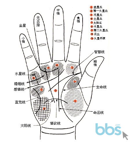 手相的解说 手相的解说词