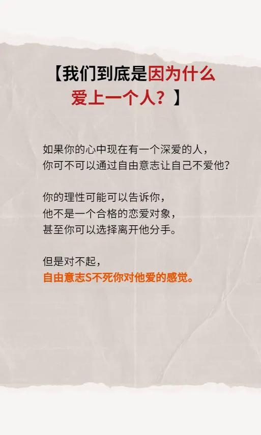 假如同时爱上一个人