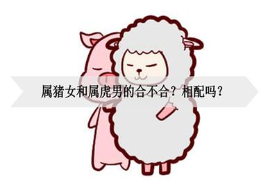 猪和虎合不合得来