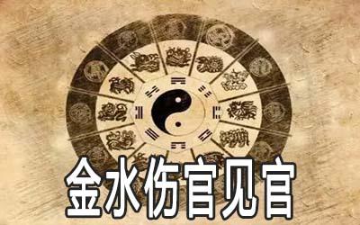 金水伤官最非凡