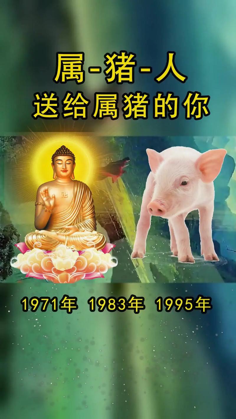 几月出生属猪人最有福(图文)