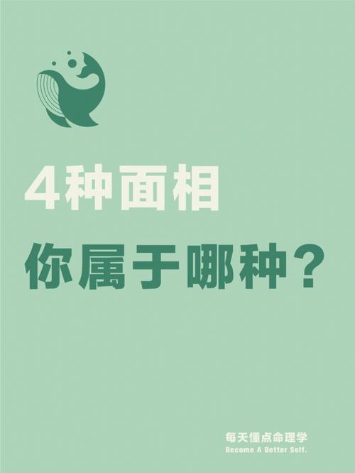 朗朗上口,面相学歌诀解释