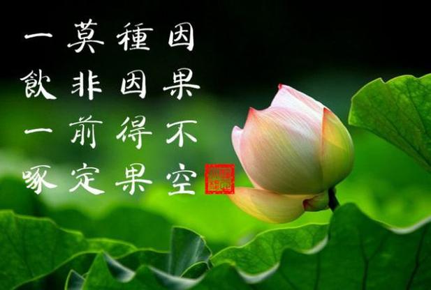 七杀格的人前世因果都是什么