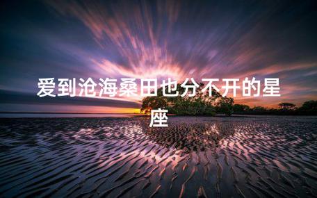 爱到沧海桑田也分不开的星座