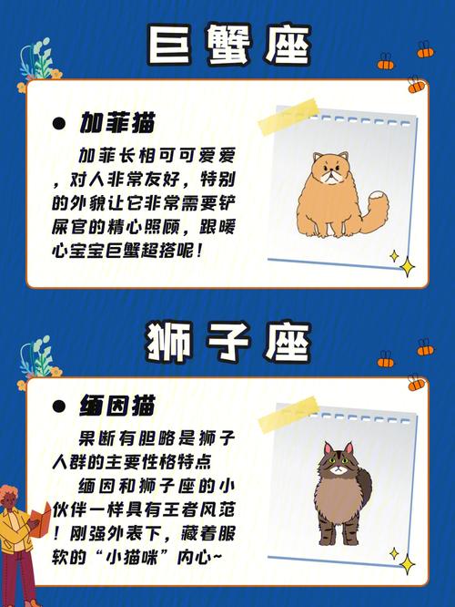 你的星座属性站是猫还是狗
