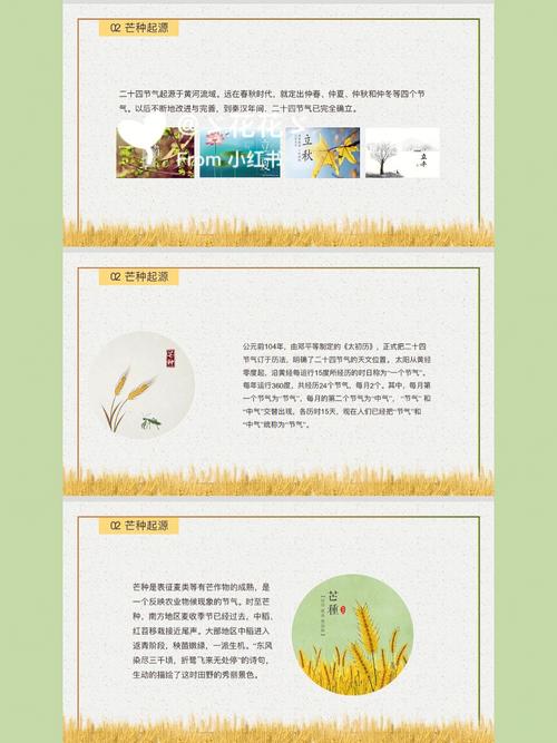 芒种节气的来历和风俗