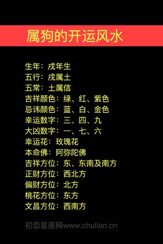 2006年的生肖何时好运