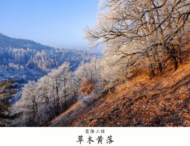 2020年霜降订婚好吗?霜降如何养生?