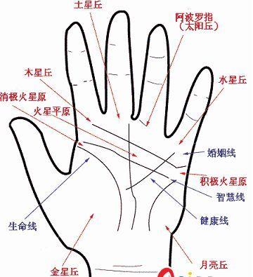 手相图解火星平原及其含义