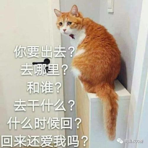 生肖狗说过最扯淡的分手理由是什么
