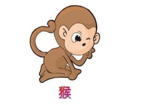 属猴的十八岁有怎样的五官和三观