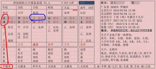 戊戌日出生的人性格与命运解析