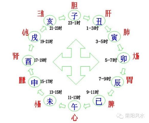 子时出生的人命运如何