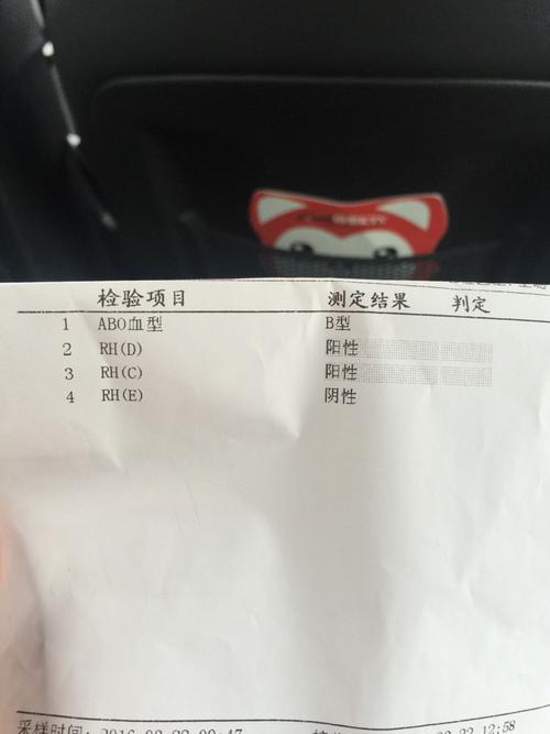 B型RhD阳性是什么血型