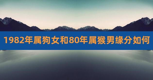 80属猴合82属狗为什么要分手