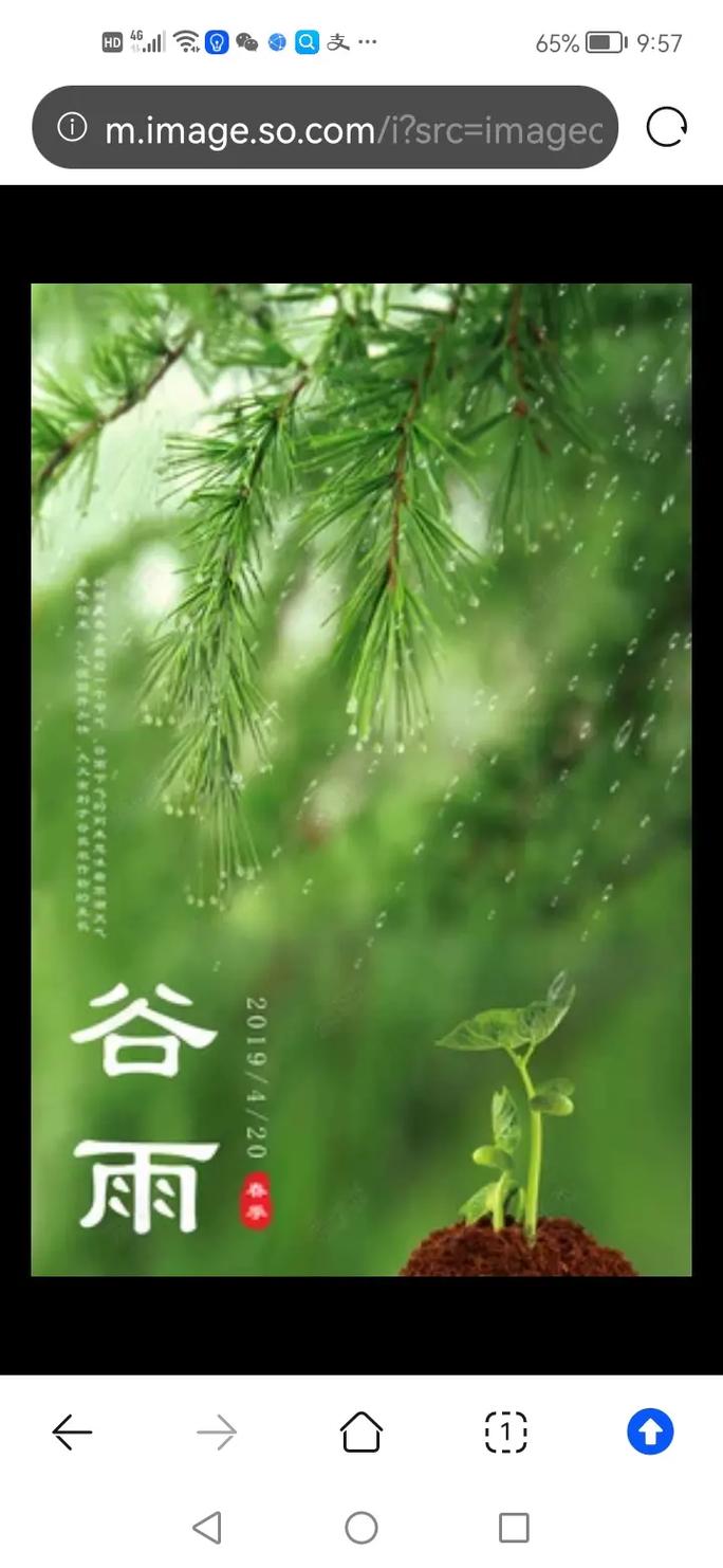 谷雨的含义是什么意思
