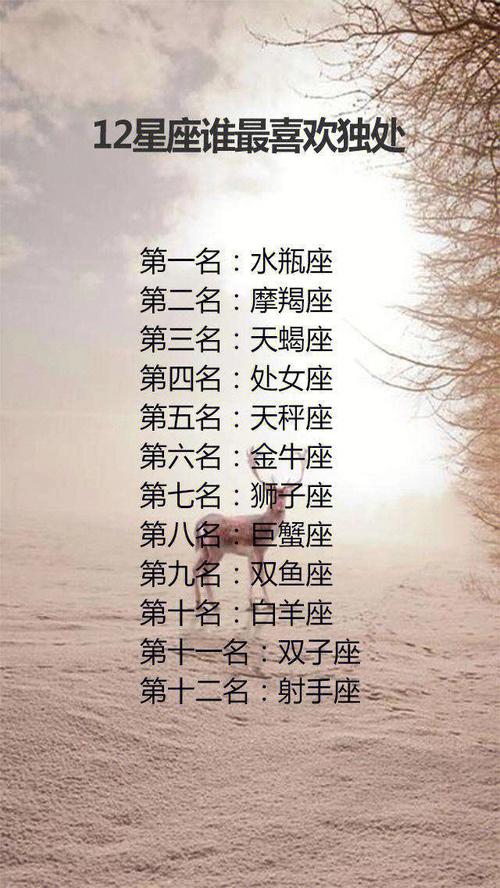 12星座最适合当老公的星座