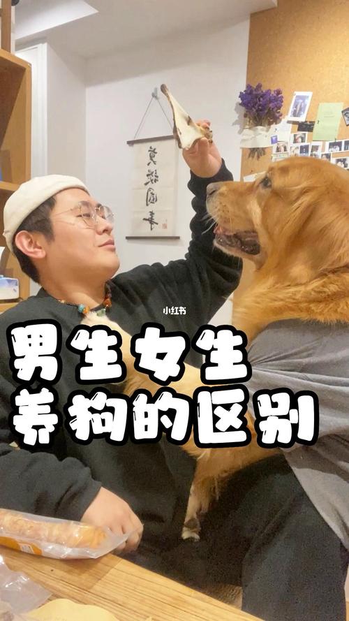 女生如何判断属狗男暗恋你