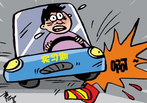 刚拿驾照就敢上高速的几大生肖