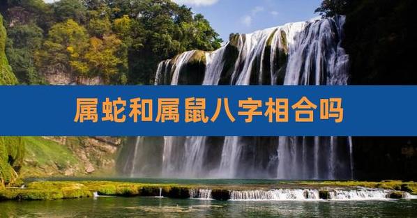 八字配对:属鼠和属蛇的八字合吗