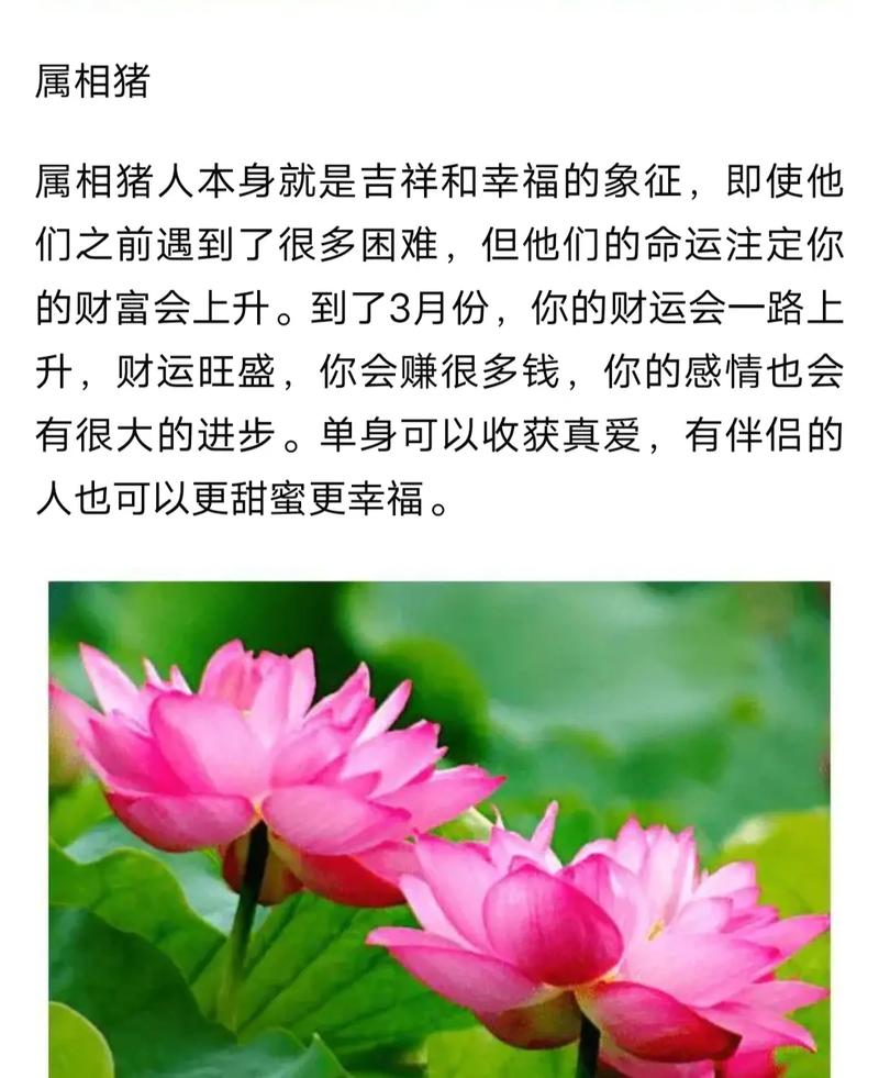 十一月将喜事连连的生肖