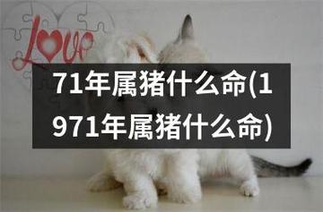 1971年属猪2021年运势及运程