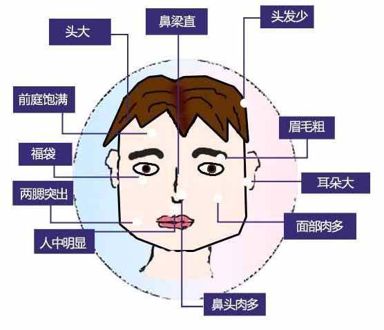 颧骨面相特征暗示你的命运发展