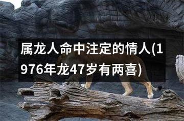 属龙人命中注定的情人